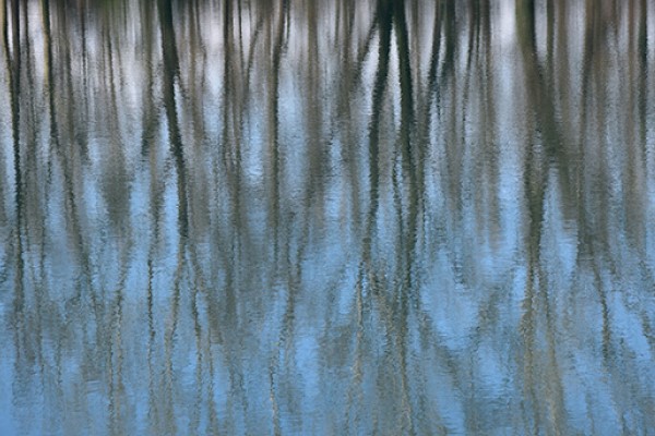 Rippled Water with Reflection of Grass and Blue Sky