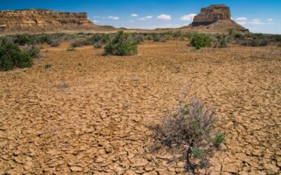 Rain Barrels in the Southwest Desert