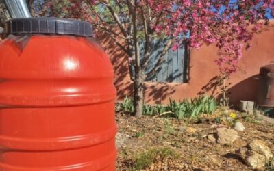 Rebate Your Rain Barrels & Water Tanks