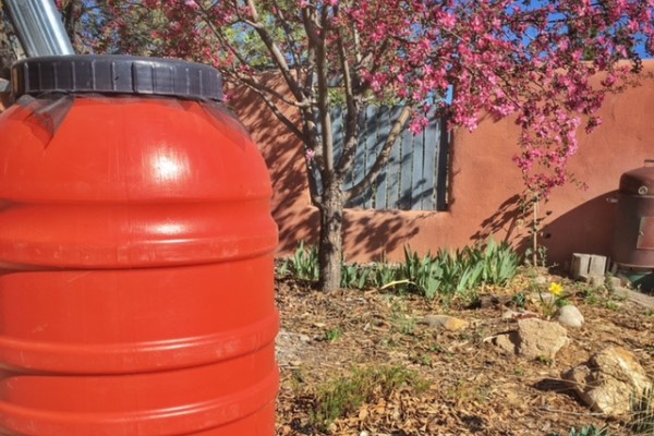 Bright Red Rain Barrel Collecting Water from Gutter Drain in a Sunlit Yard