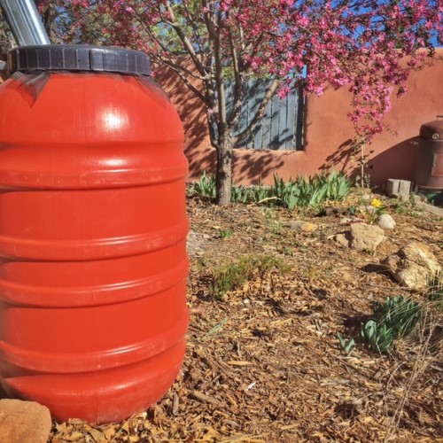 Bright Red Rain Barrel Collecting Water from Gutter Drain in a Sunlit Yard