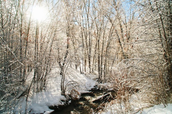 Sun Shining on a Snow-Surrounded Stream