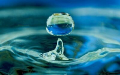 Water Harvesting and Consciousness