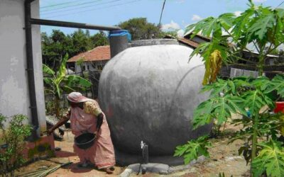 Water Harvesting Around the World