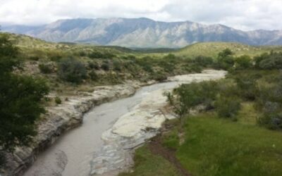 Wholesaling Rain Barrels in Santa Fe and Albuquerque